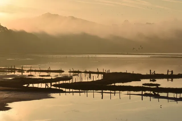 $8,500,000 | 967 Salinas Road, Watsonville, CA 95076