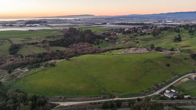 a black and white photo of a book