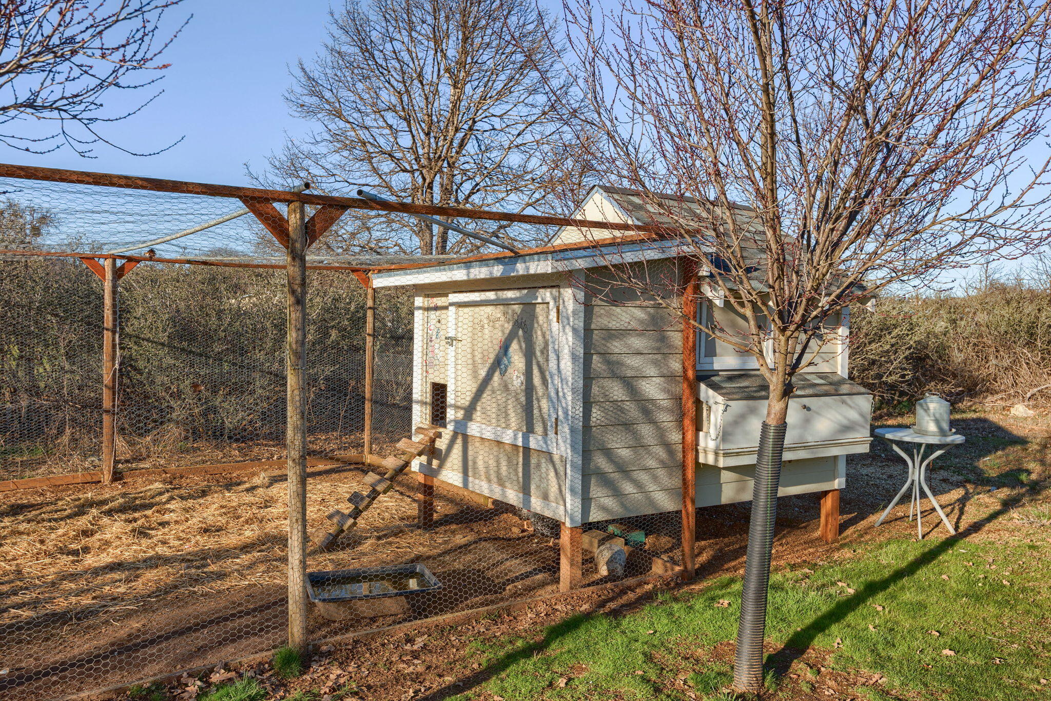 4508 Dodge Road White City, OR 97503 - Photo 42 of 57 chicken coop