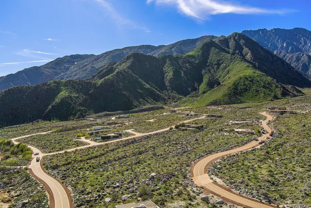 a view of a forest with mountains in the background