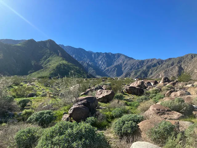 a view of a terrace with a garden