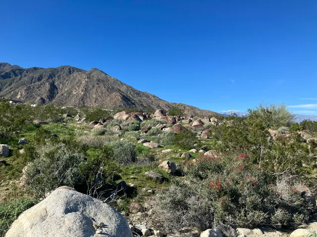 $455,000 | 2321 Vista Palizada Drive, Palm Springs, CA 92262