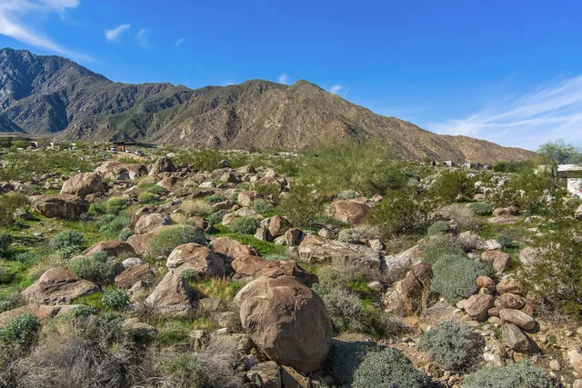 a view of a dry yard with mountains in the background