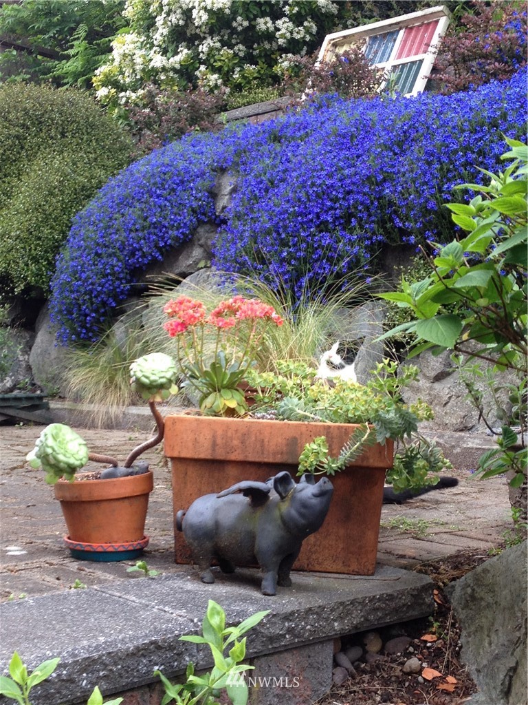 6842 16th Avenue Northeast Seattle, WA 98115 - Photo 25 of 25