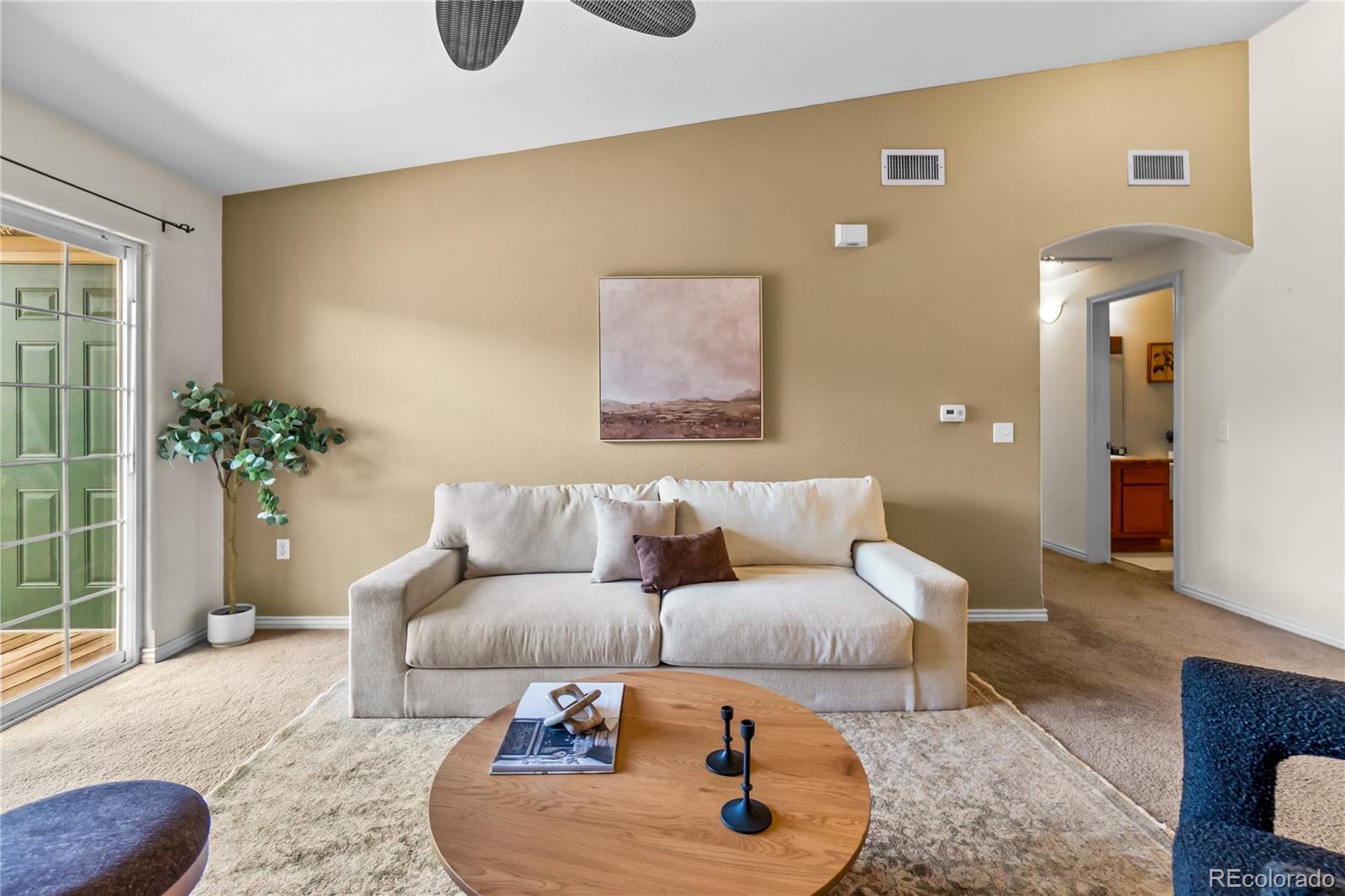 18669 Stroh Road, Unit 10204 Parker, CO 80134 - Photo 4 of 24 a living room with furniture and a potted plant