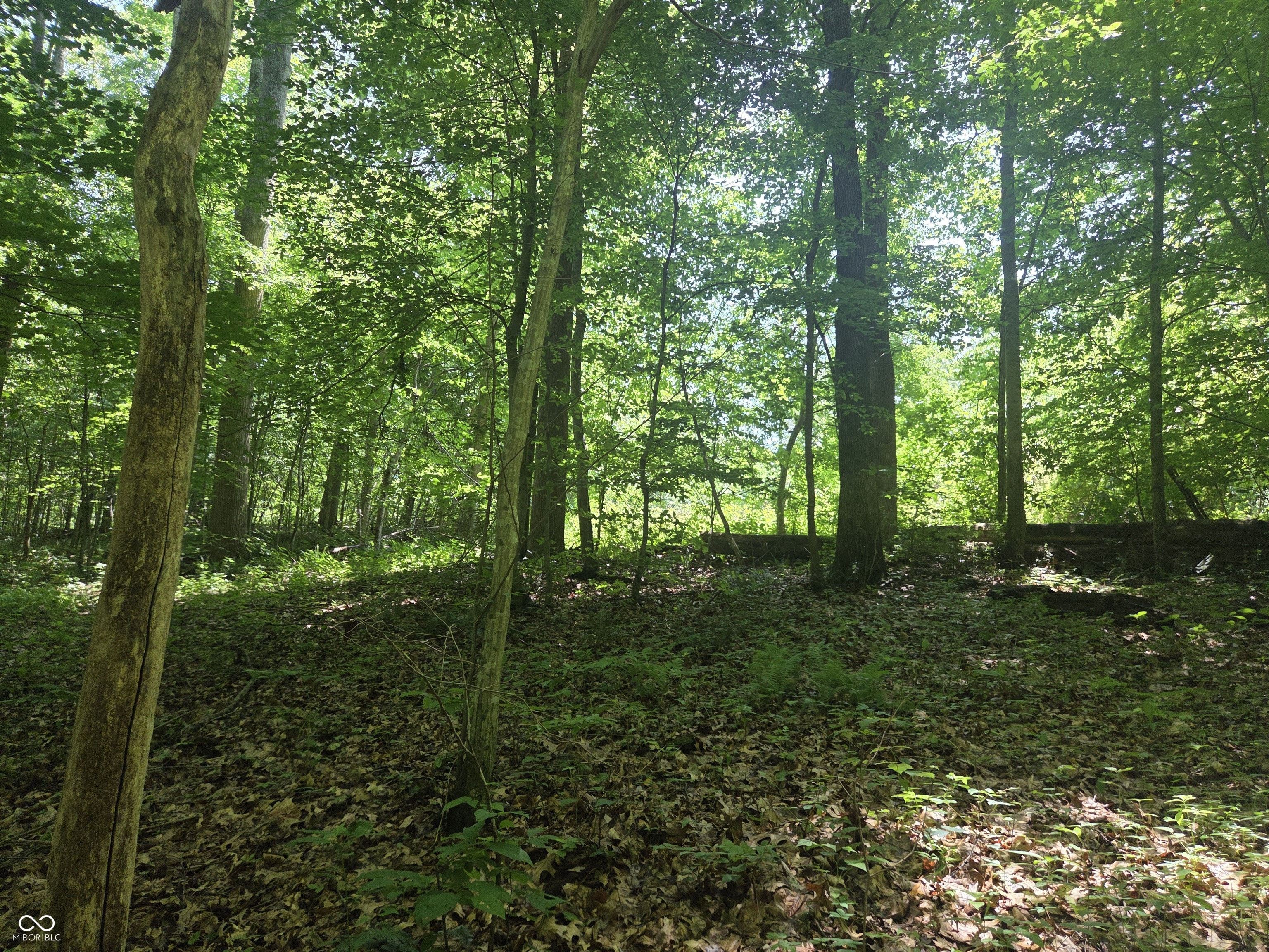 8025 North Fish Road Bloomington, IN 47408 - Photo 6 of 9
