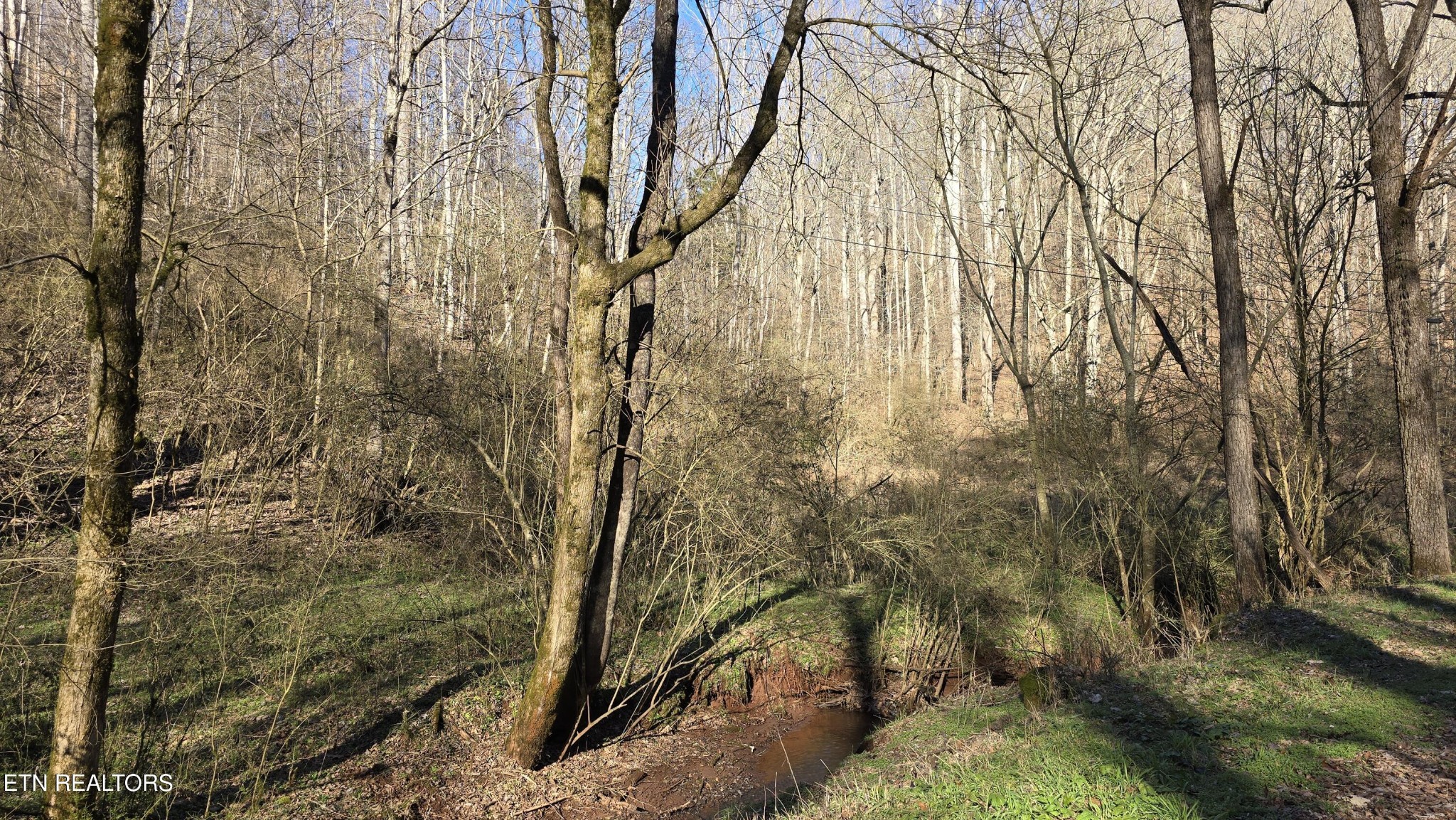 0 Red Ankle Road Sweetwater, TN 37874 - Photo 31 of 32 Gallery Image 31