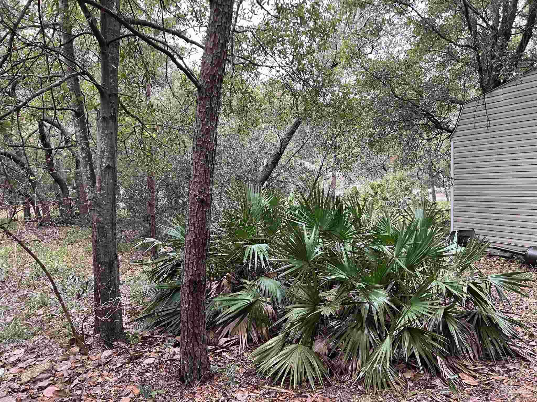 0 Clemson Road Gulf Breeze, FL 32563 - Photo 4 of 5 Gallery Image 4