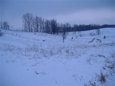 1155 East Taylor Road Hart, MI 49420 - Photo 1 of 6 Primary Photo