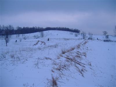 1155 East Taylor Road Hart, MI 49420 - Photo 2 of 6 Additional Photo