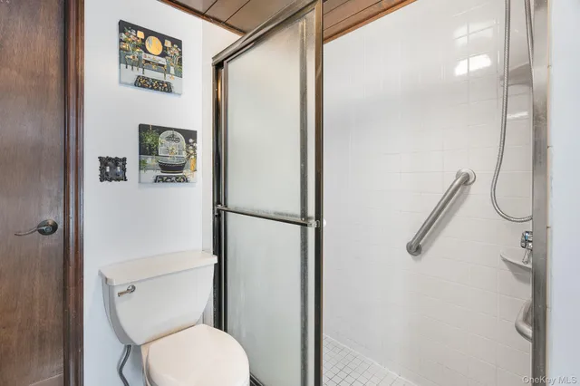 a bathroom with a toilet and a shower