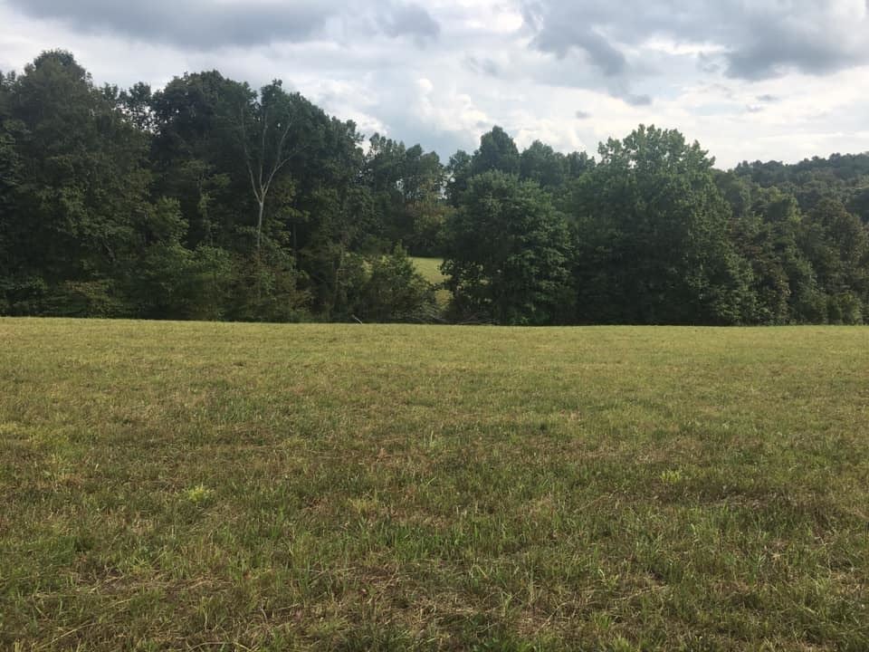0 Albert Morgan Road Summer Shade, KY 42166 - Photo 7 of 23 Gallery Image 7