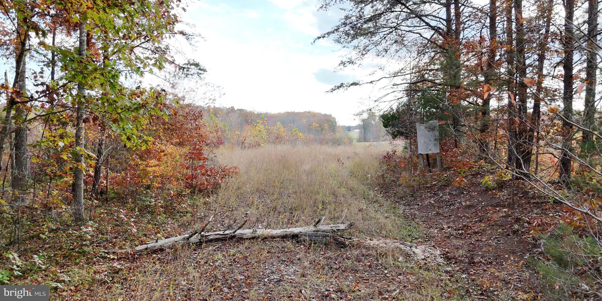 Grasty Goldmine Road Rhoadesville, VA 22542 - Photo 1 of 14 Gallery Image 1