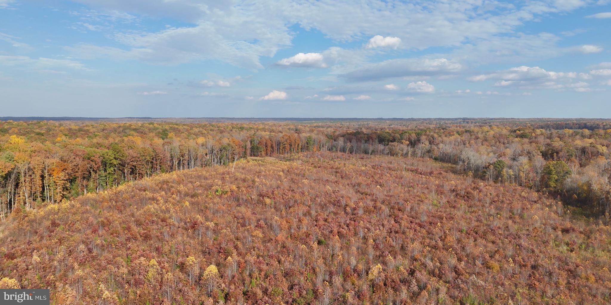 Grasty Goldmine Road Rhoadesville, VA 22542 - Photo 2 of 14 Gallery Image 2