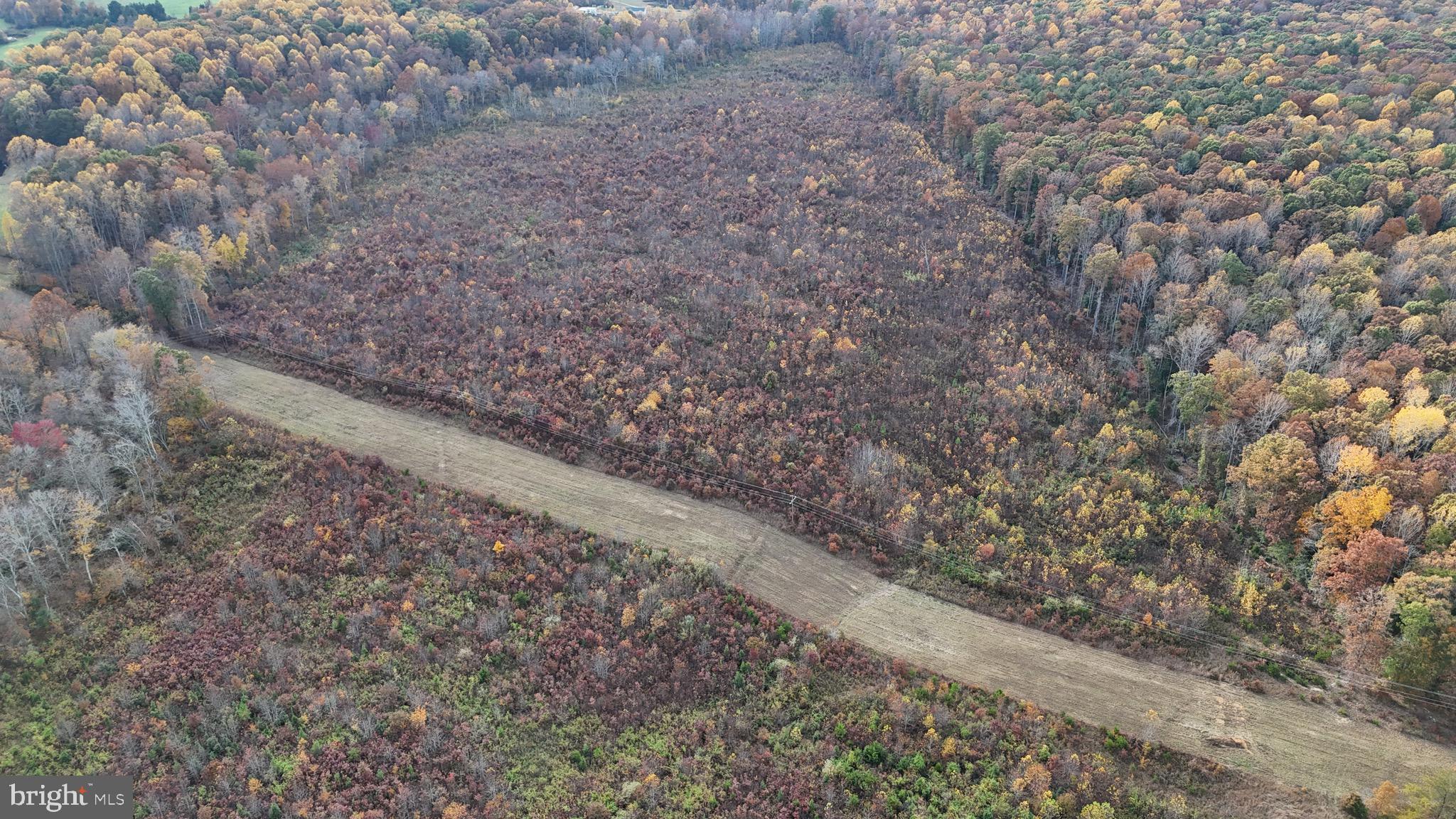Grasty Goldmine Road Rhoadesville, VA 22542 - Photo 4 of 14 Gallery Image 4