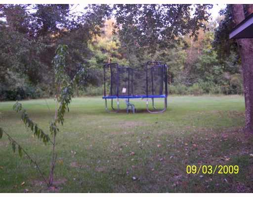 51334 George Road Tickfaw, LA 70466 - Photo 12 of 12 Gallery Image 12