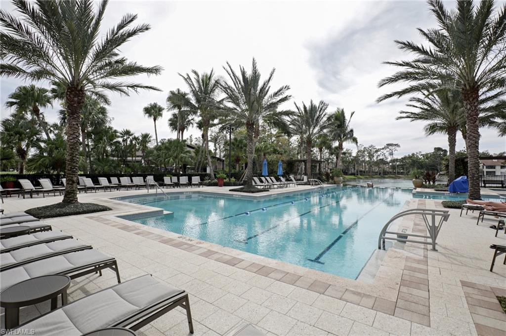 211 Via Napoli Naples, FL 34105 - Photo 18 of 23 a view of a swimming pool with lounge chair and palm trees