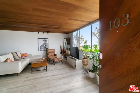 a living room with furniture and a potted plant
