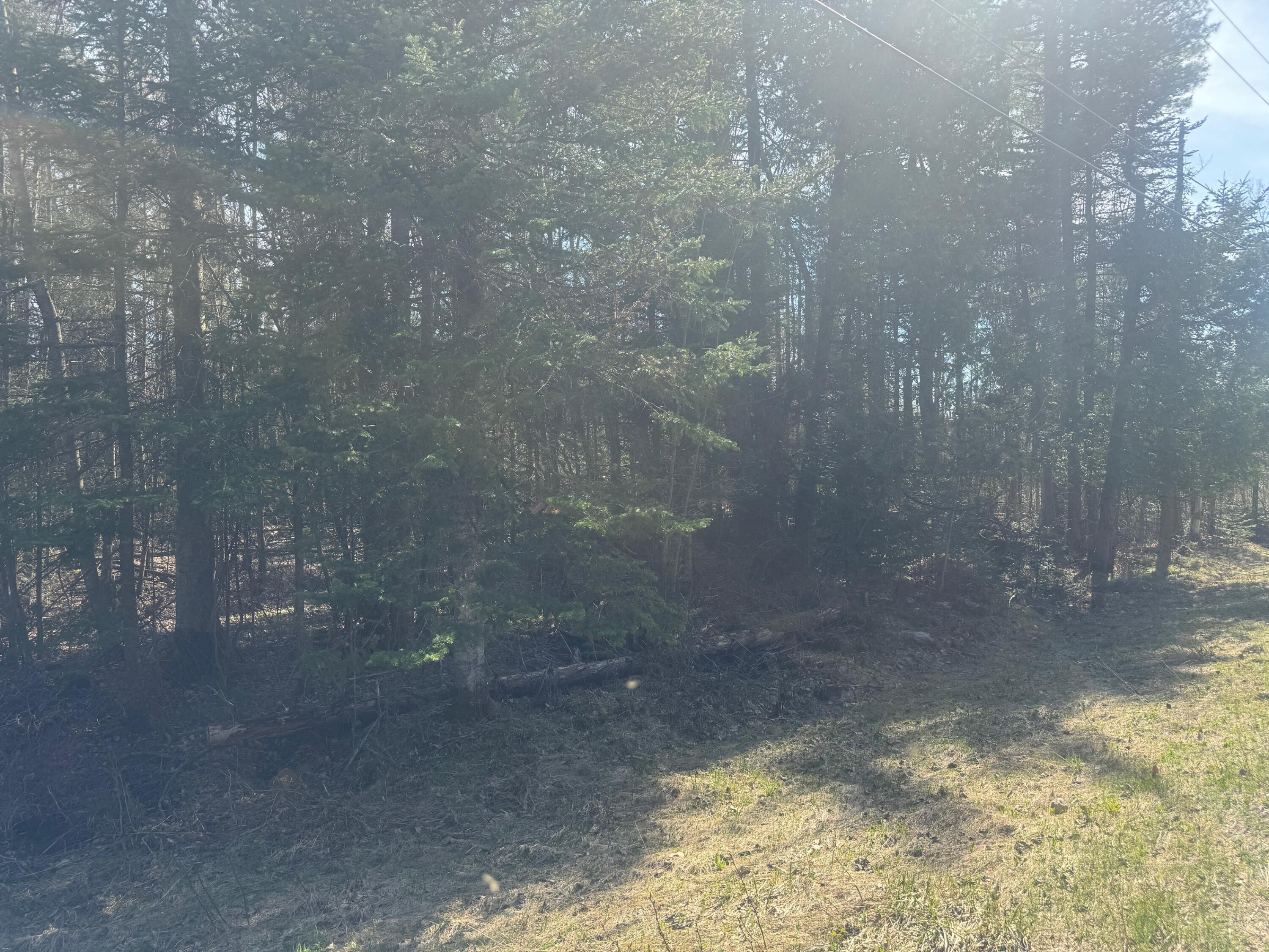 0 Akey Road Morrisonville, NY 12962 - Photo 2 of 3