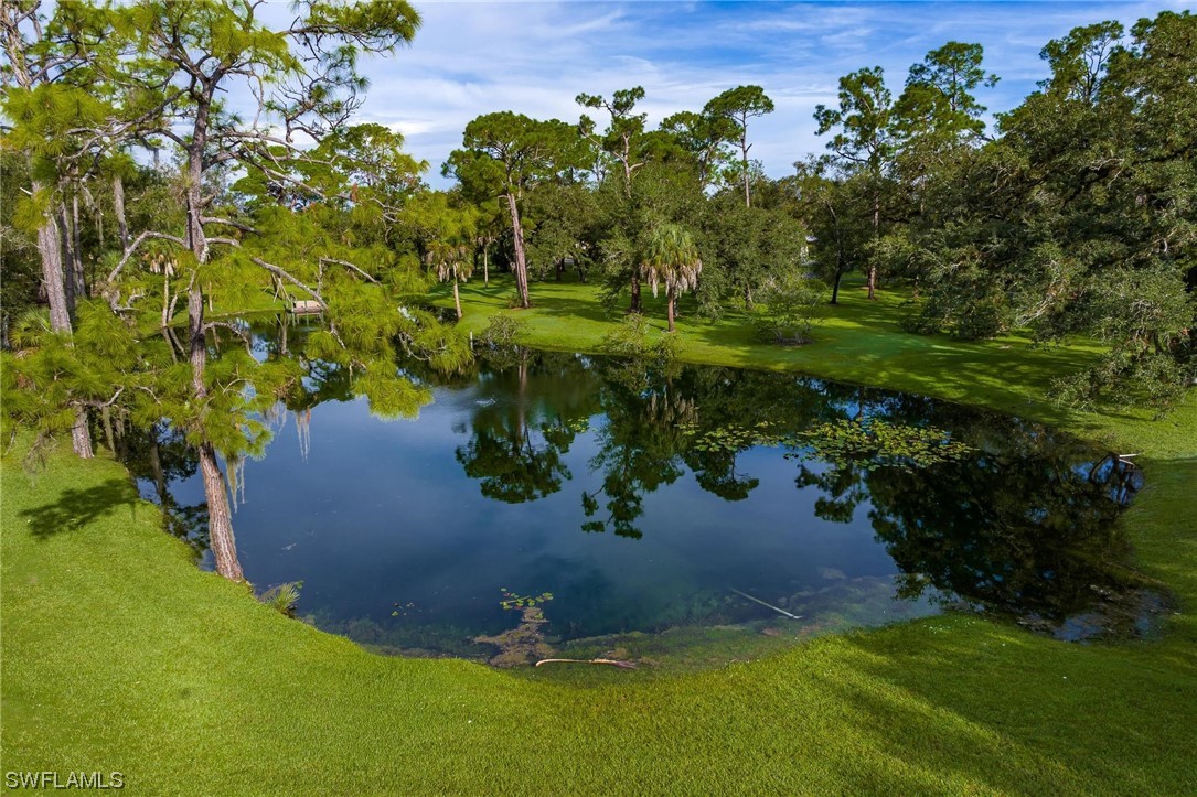 1850 Fort Denaud Road LaBelle, FL 33935 - Photo 34 of 37 a view of a garden