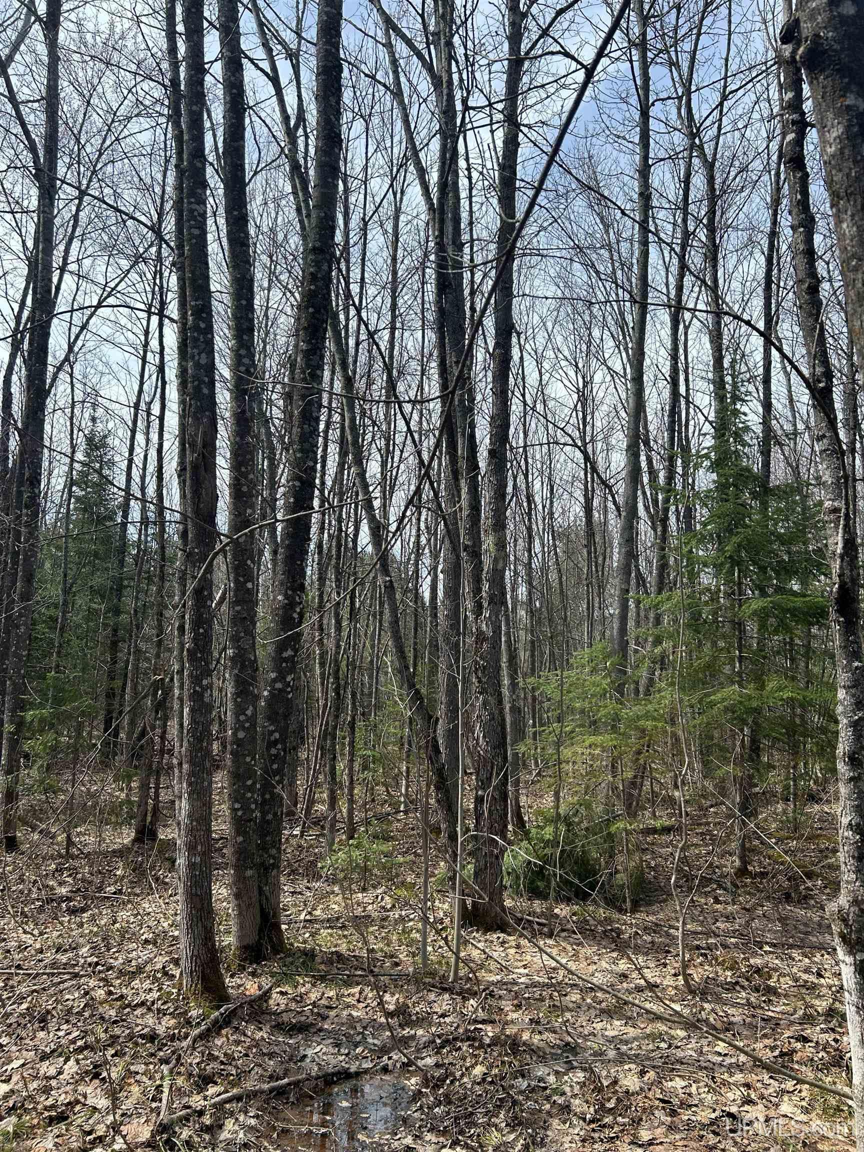 4-10 Firesteel Road Ontonagon, MI 49953 - Photo 13 of 28