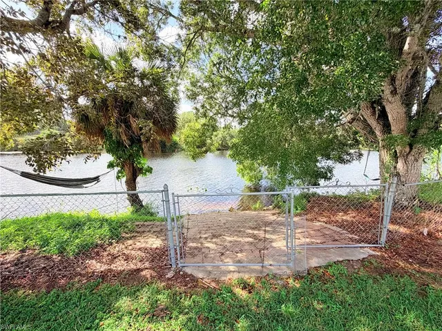 a view of a yard with plants and a tree