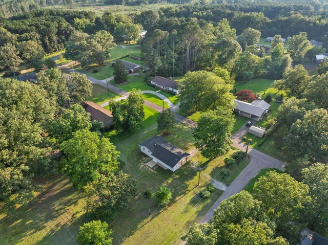 an aerial view of residential houses with outdoor space and trees