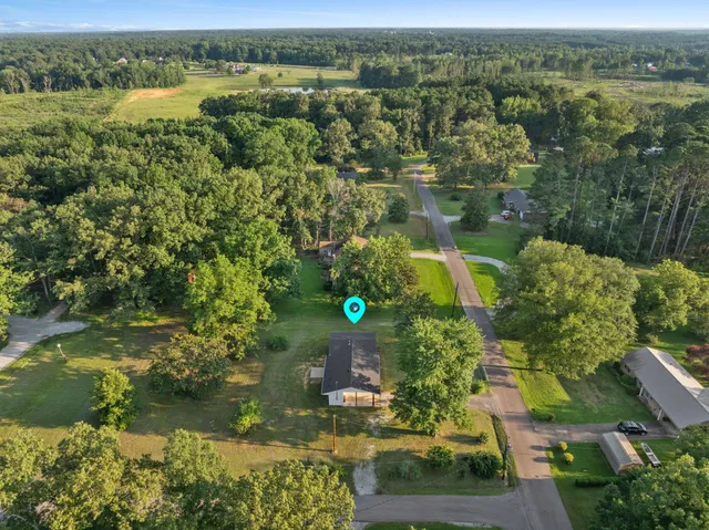 an aerial view of residential houses with outdoor space and trees