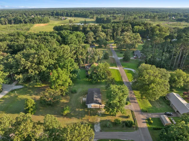 an aerial view of residential houses with outdoor space and trees