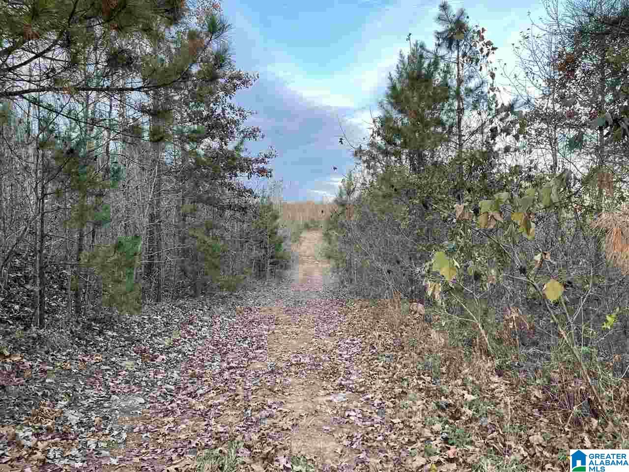 7931 Goodner Mountain Road Trussville, AL 35173 - Photo 5 of 20