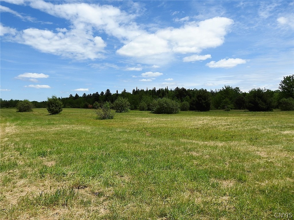 0 Bower Road Constableville, NY 13325 - Photo 10 of 37
