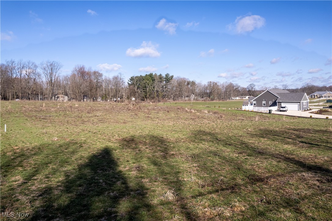 7188 State Road Wadsworth, OH 44281 - Photo 7 of 8 View of yard featuring a rural view