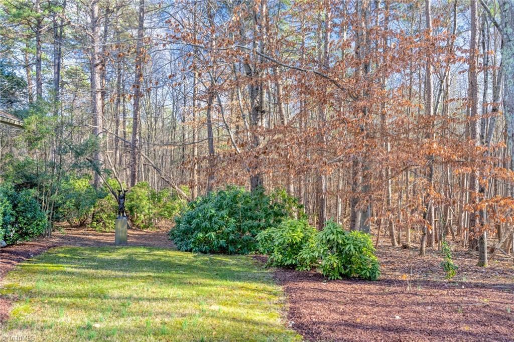 9069 Lasater Road Clemmons, NC 27012 - Photo 23 of 23