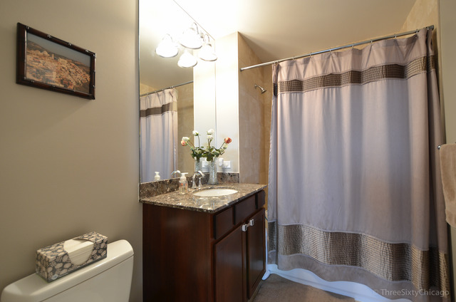 1629 South Prairie Avenue, Unit 809 Chicago, IL 60616 - Photo 15 of 24 a bathroom with a sink a mirror and a shower curtain