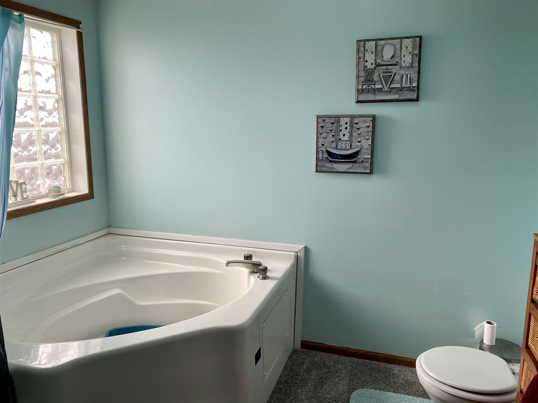 879 230th Street Viola, IL 61486 - Photo 13 of 23 Gallery Image 13
