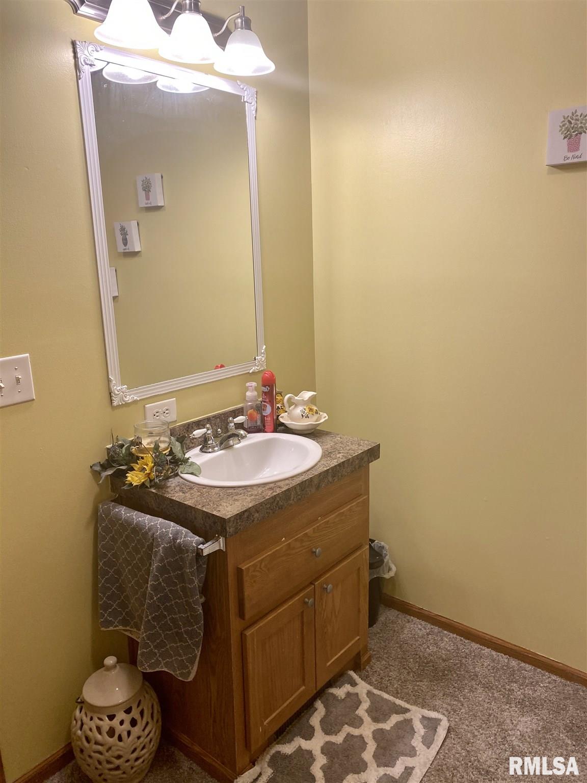 879 230th Street Viola, IL 61486 - Photo 21 of 23 Gallery Image 21