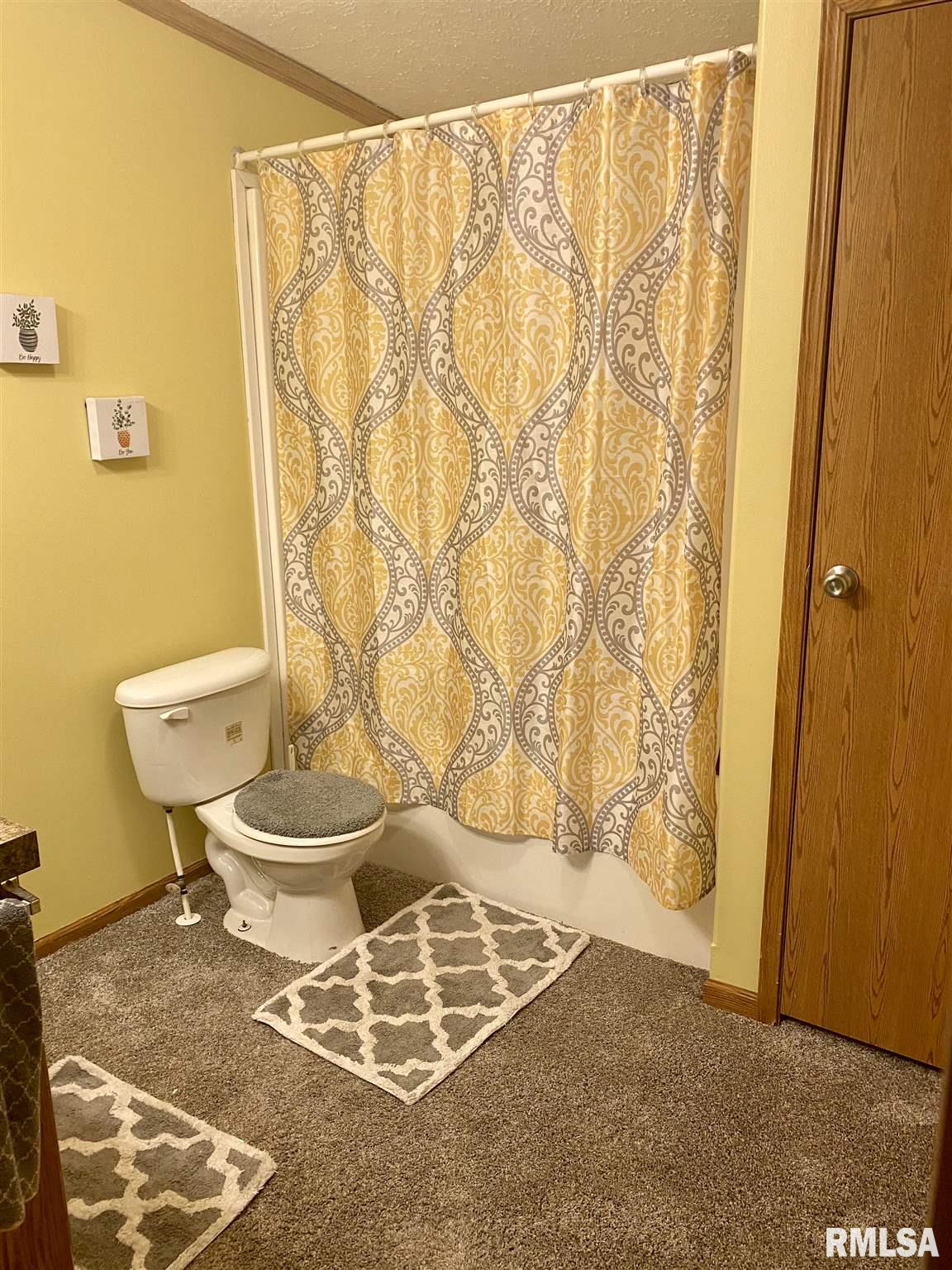 879 230th Street Viola, IL 61486 - Photo 22 of 23 Gallery Image 22