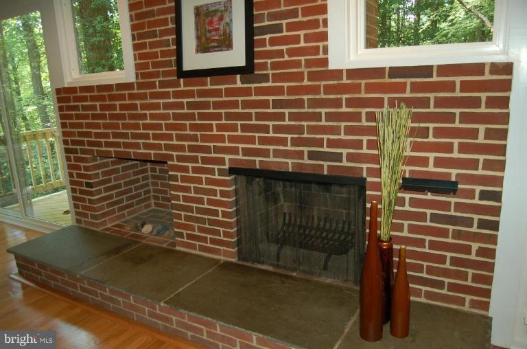 3938 Rickover Road Silver Spring, MD 20902 - Photo 7 of 28 Fireplace