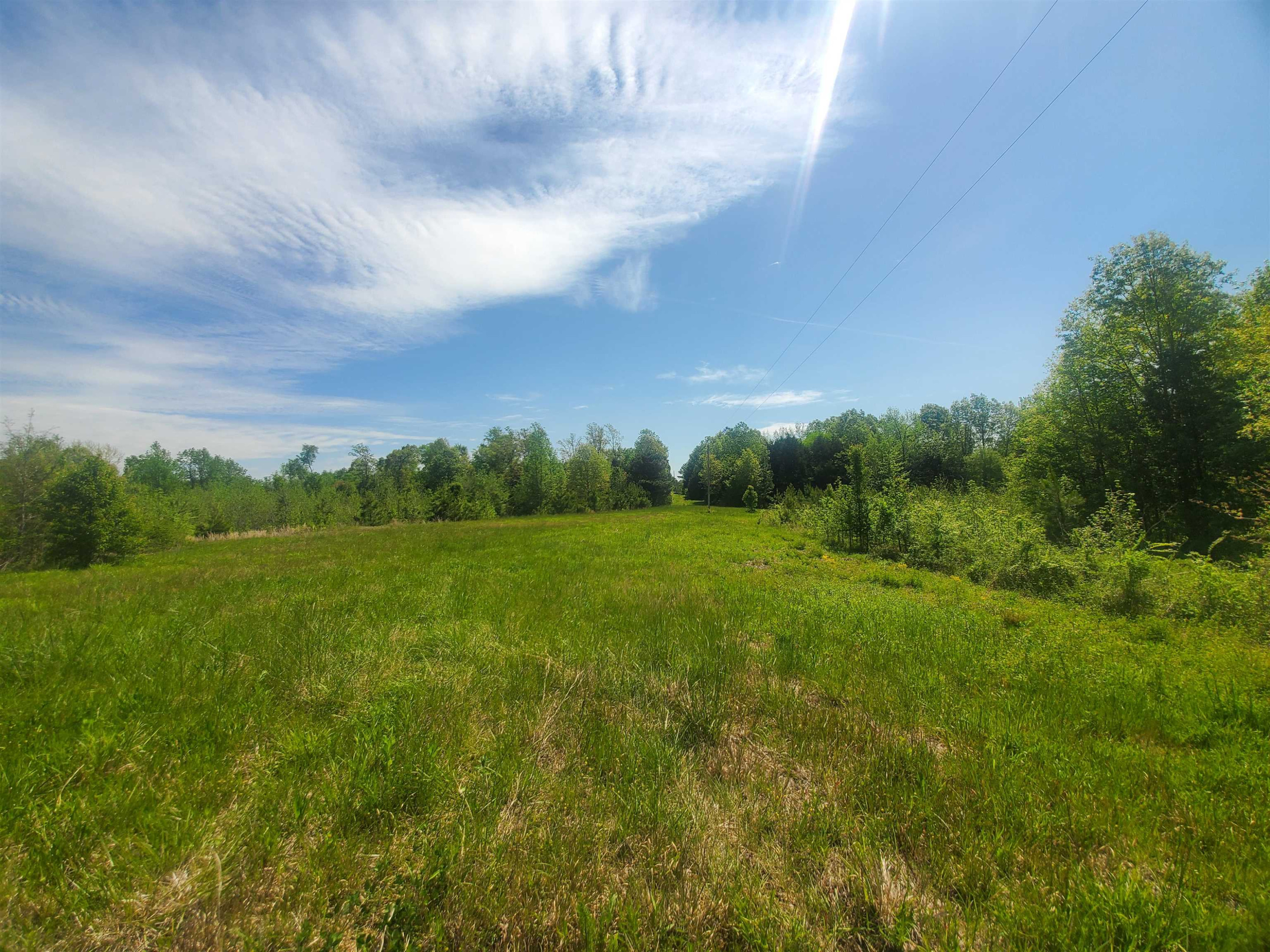 0 Oak Grove Road Milan, TN 38358 - Photo 1 of 16 Photo 1
