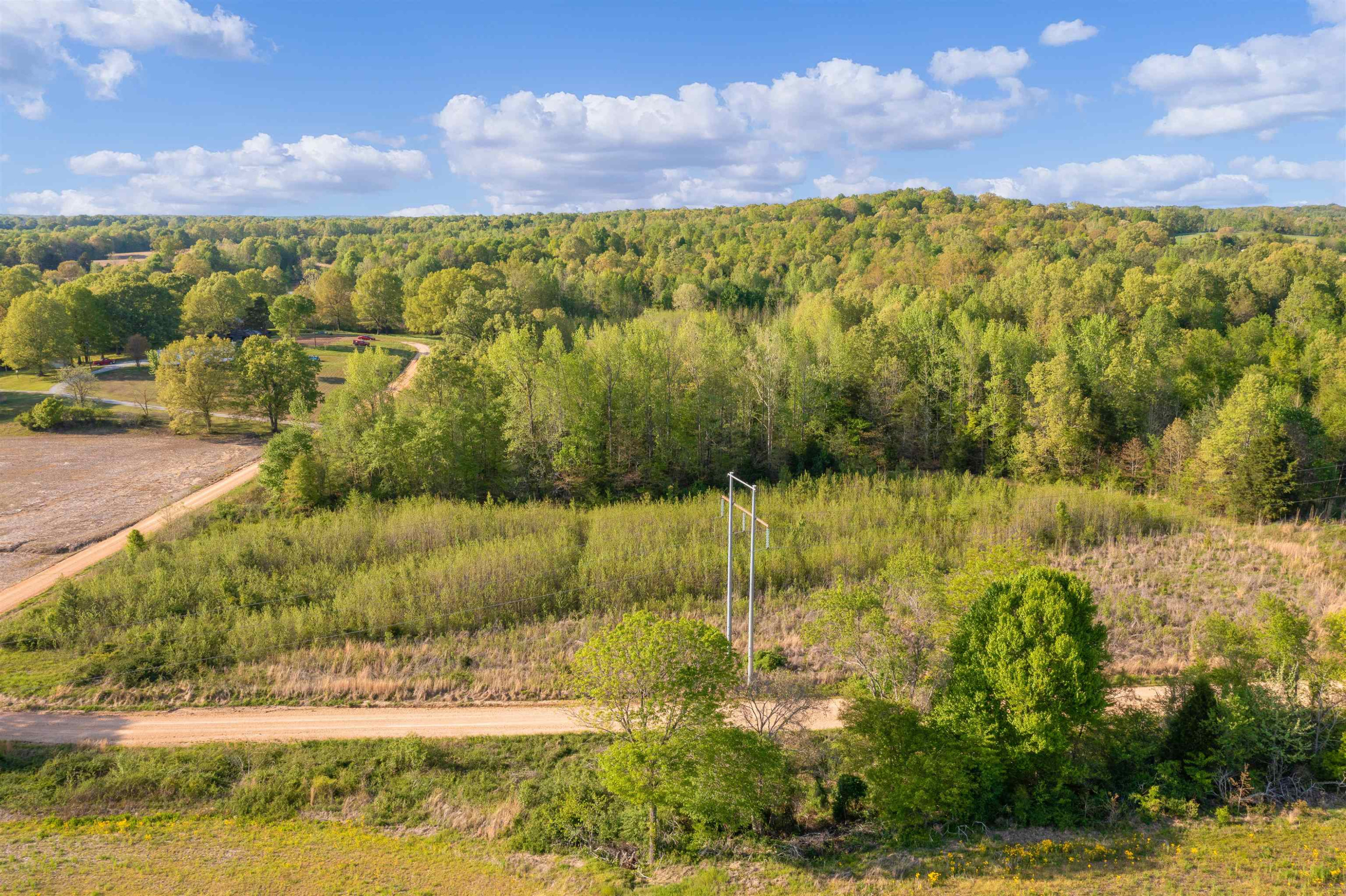 0 Oak Grove Road Milan, TN 38358 - Photo 16 of 16 Photo 16