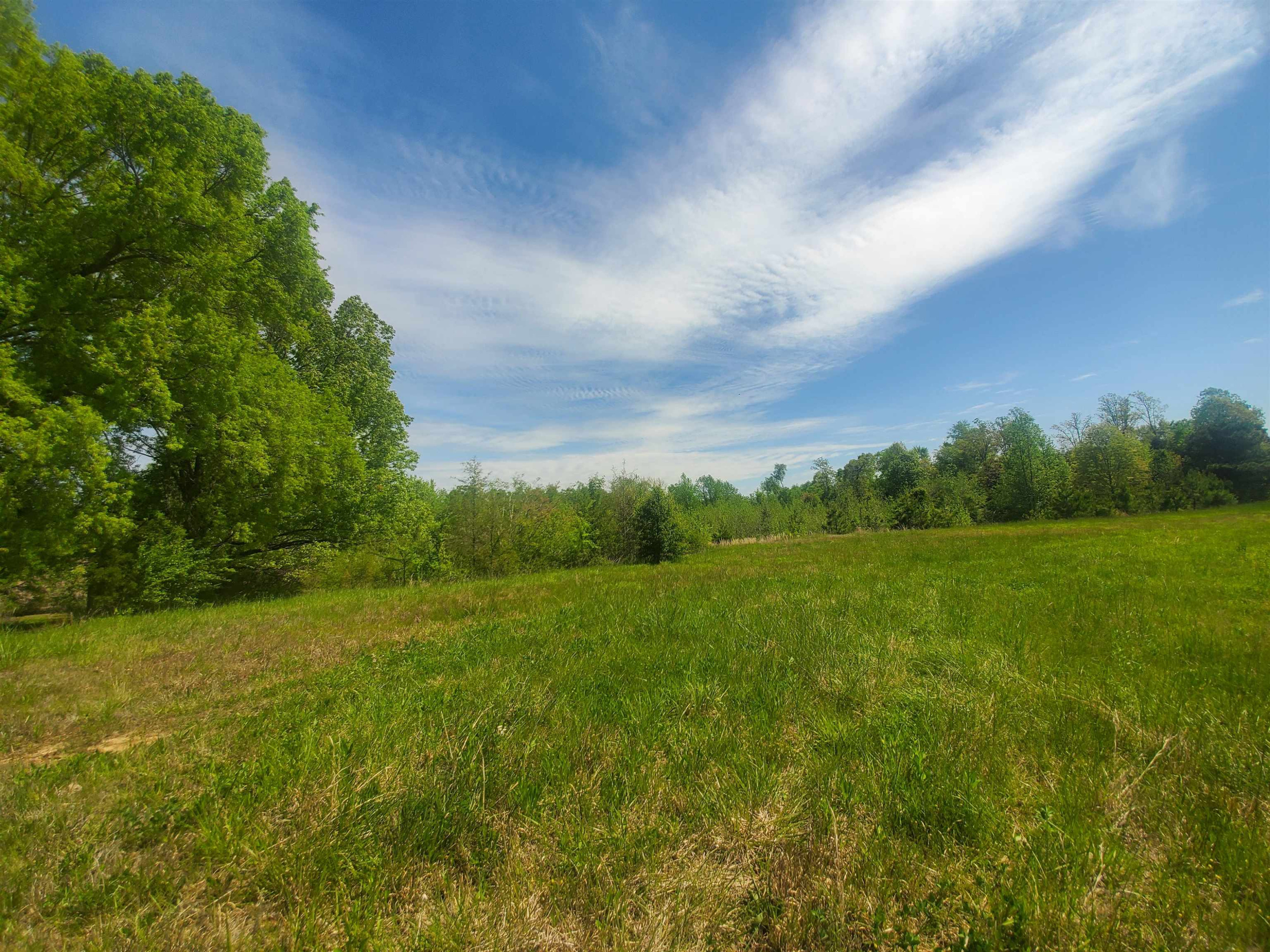 0 Oak Grove Road Milan, TN 38358 - Photo 2 of 16 Photo 2