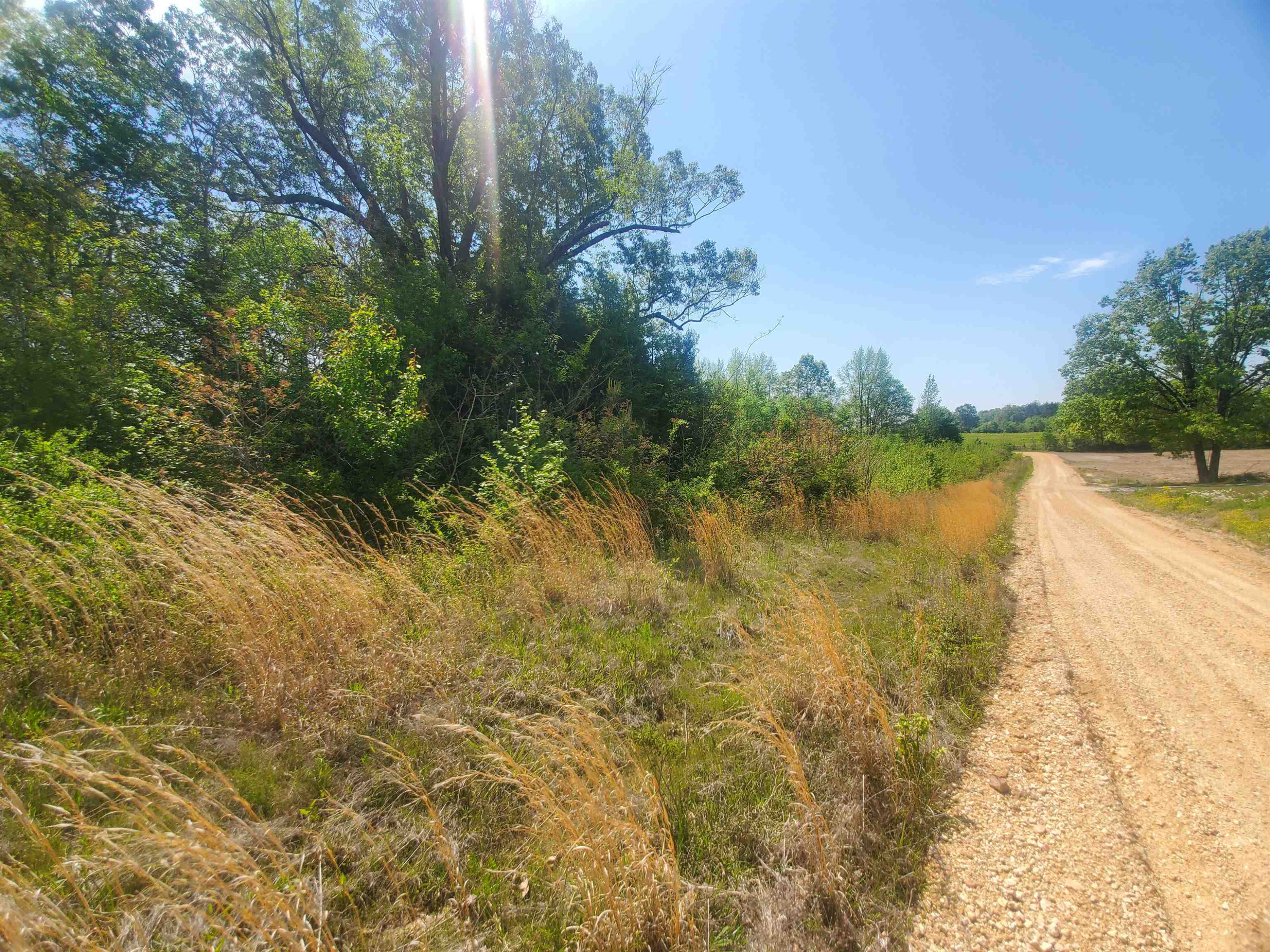 0 Oak Grove Road Milan, TN 38358 - Photo 3 of 16 Photo 3