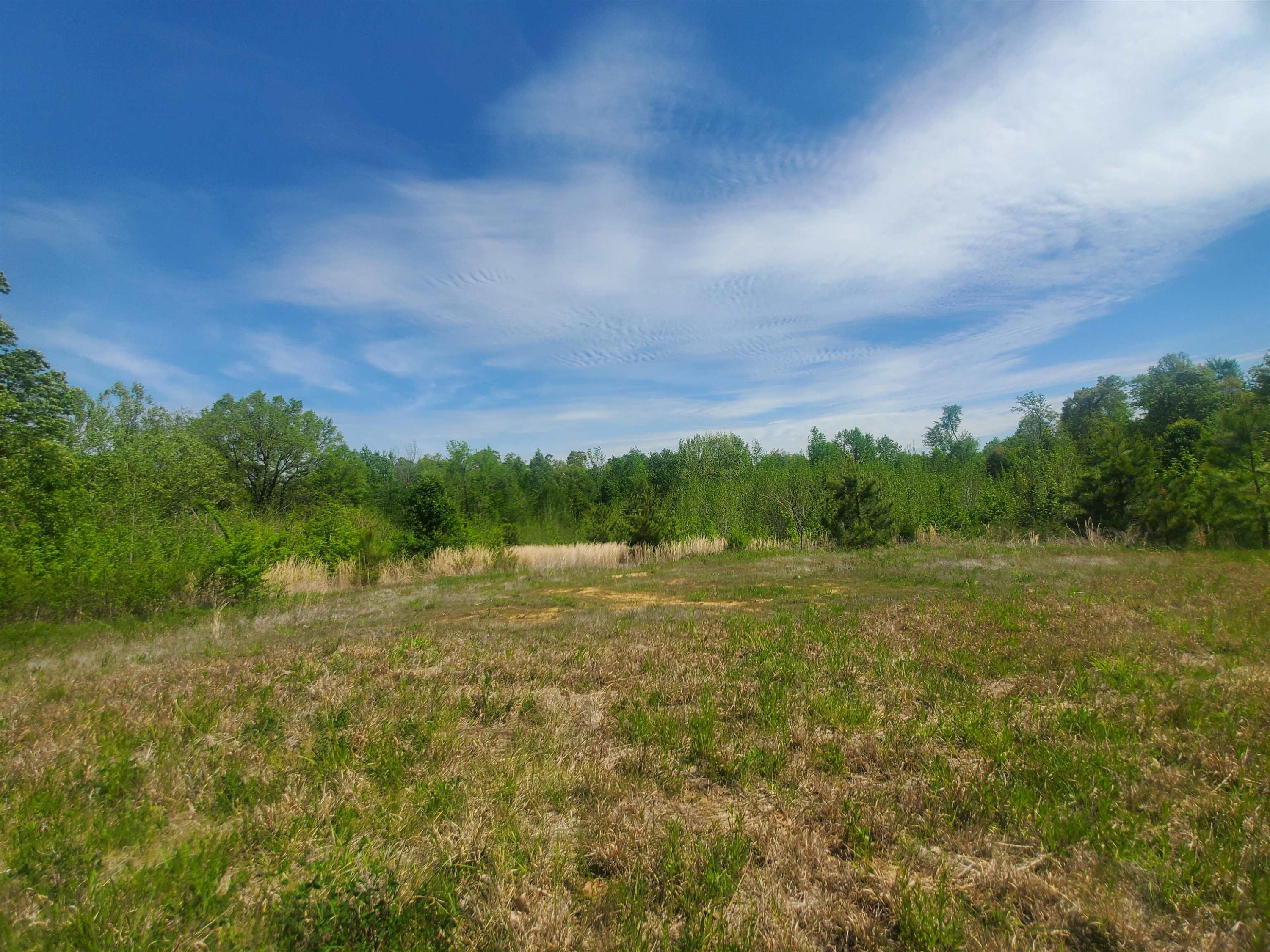 0 Oak Grove Road Milan, TN 38358 - Photo 5 of 16 Photo 5