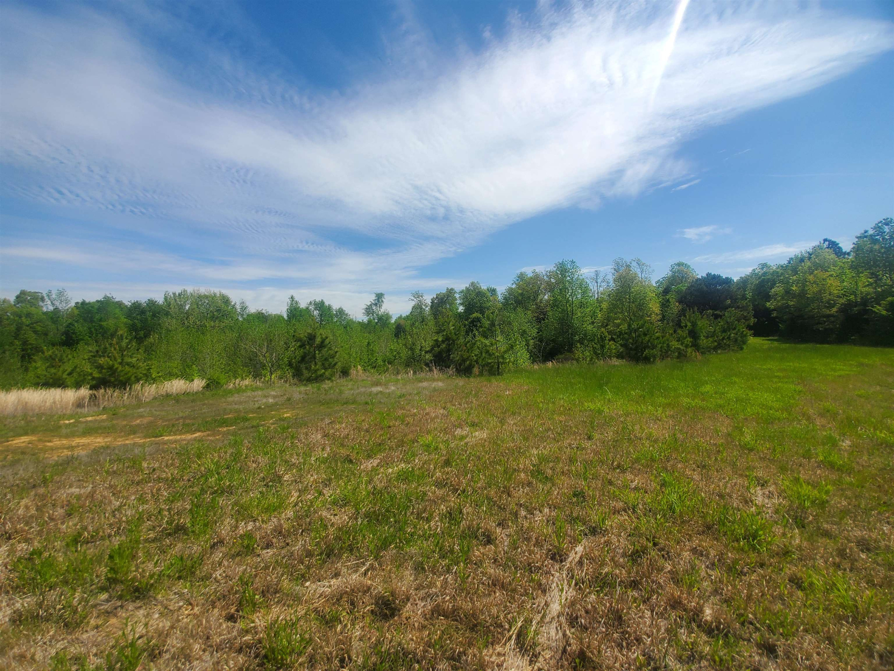 0 Oak Grove Road Milan, TN 38358 - Photo 6 of 16 Photo 6
