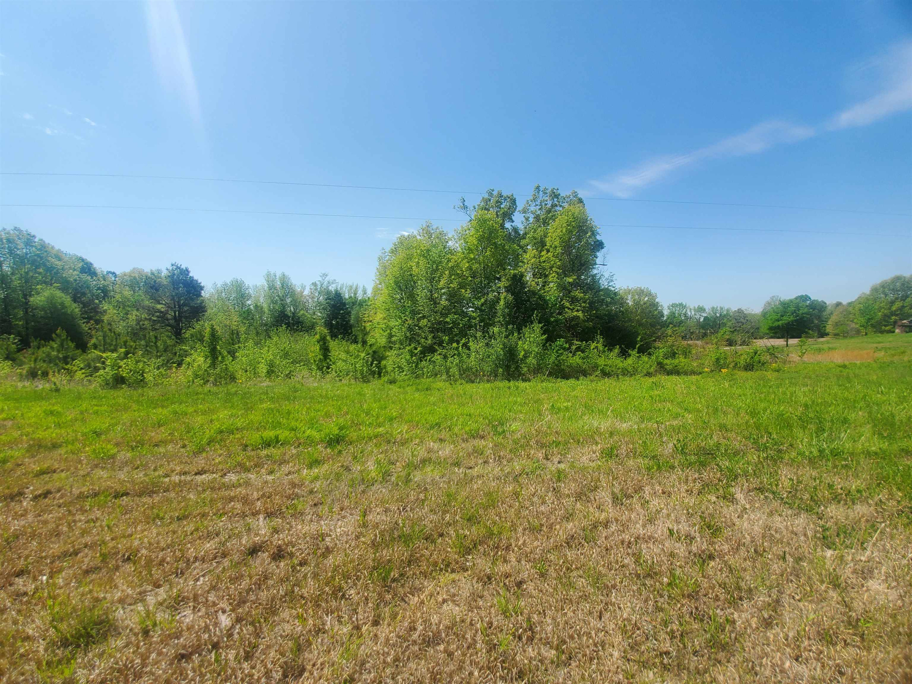 0 Oak Grove Road Milan, TN 38358 - Photo 7 of 16 Photo 7