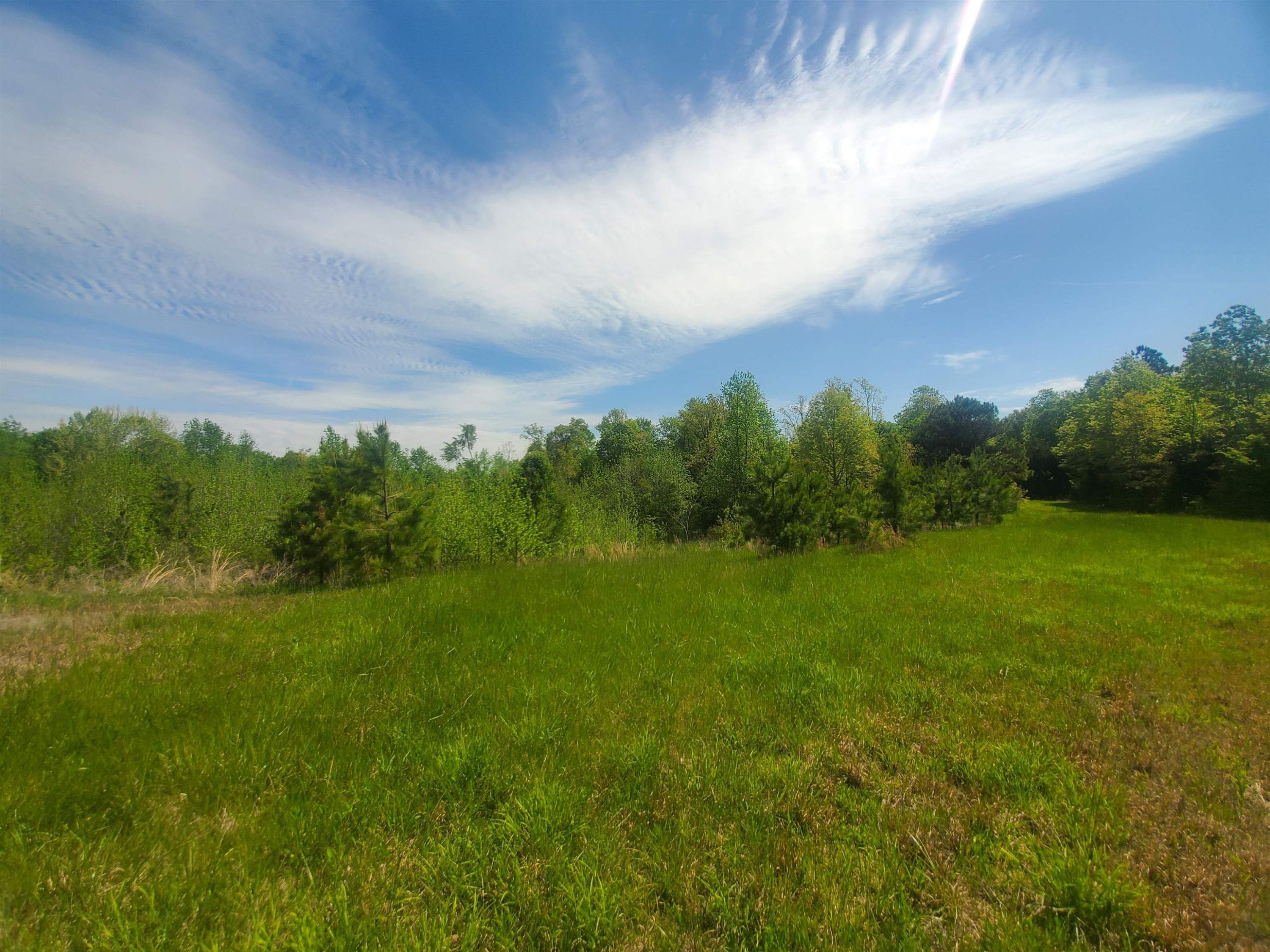 0 Oak Grove Road Milan, TN 38358 - Photo 8 of 16 Photo 8