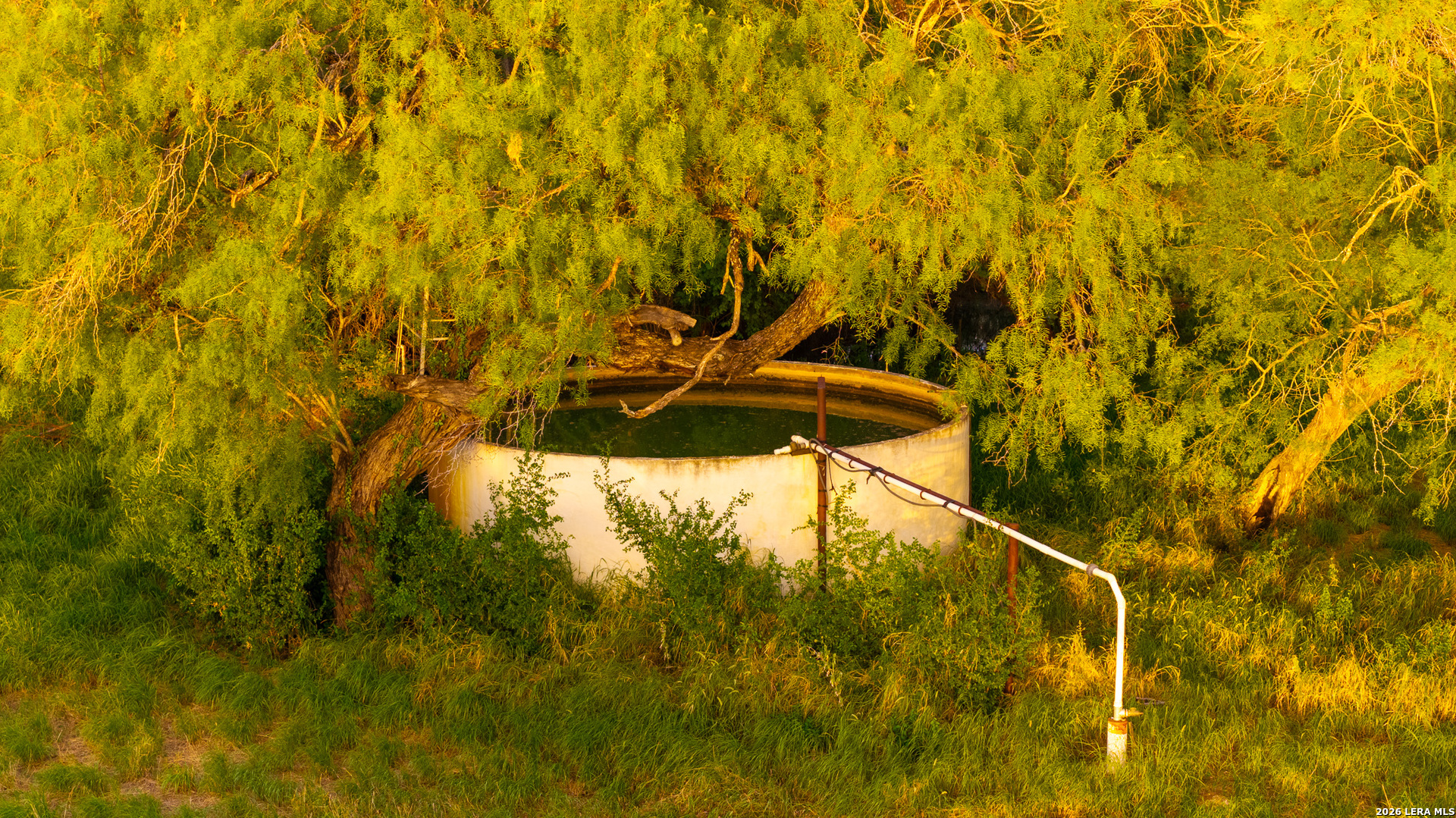 1909 Hubbard Road Cotulla, TX 78014 - Photo 38 of 50 Gallery Image 38