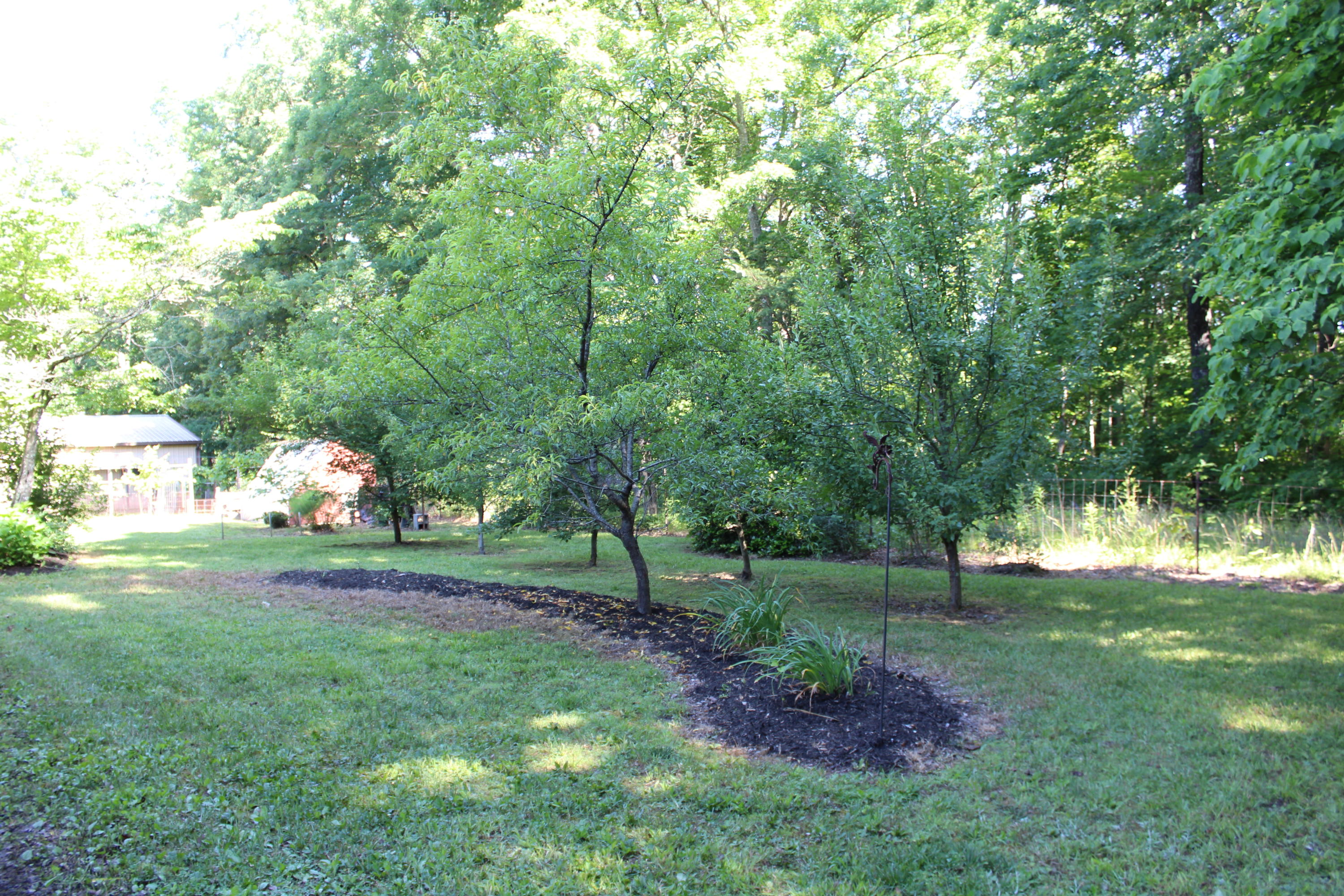 1728 Bell Road Crossville, TN 38571 - Photo 16 of 36 IMG_9893