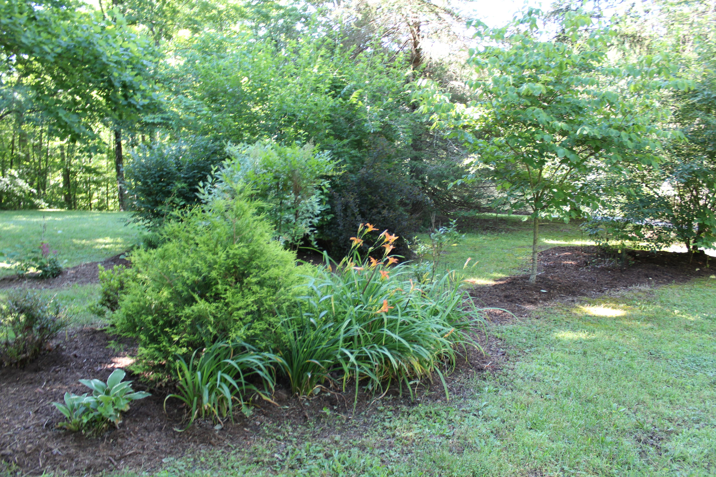 1728 Bell Road Crossville, TN 38571 - Photo 20 of 36 IMG_9900