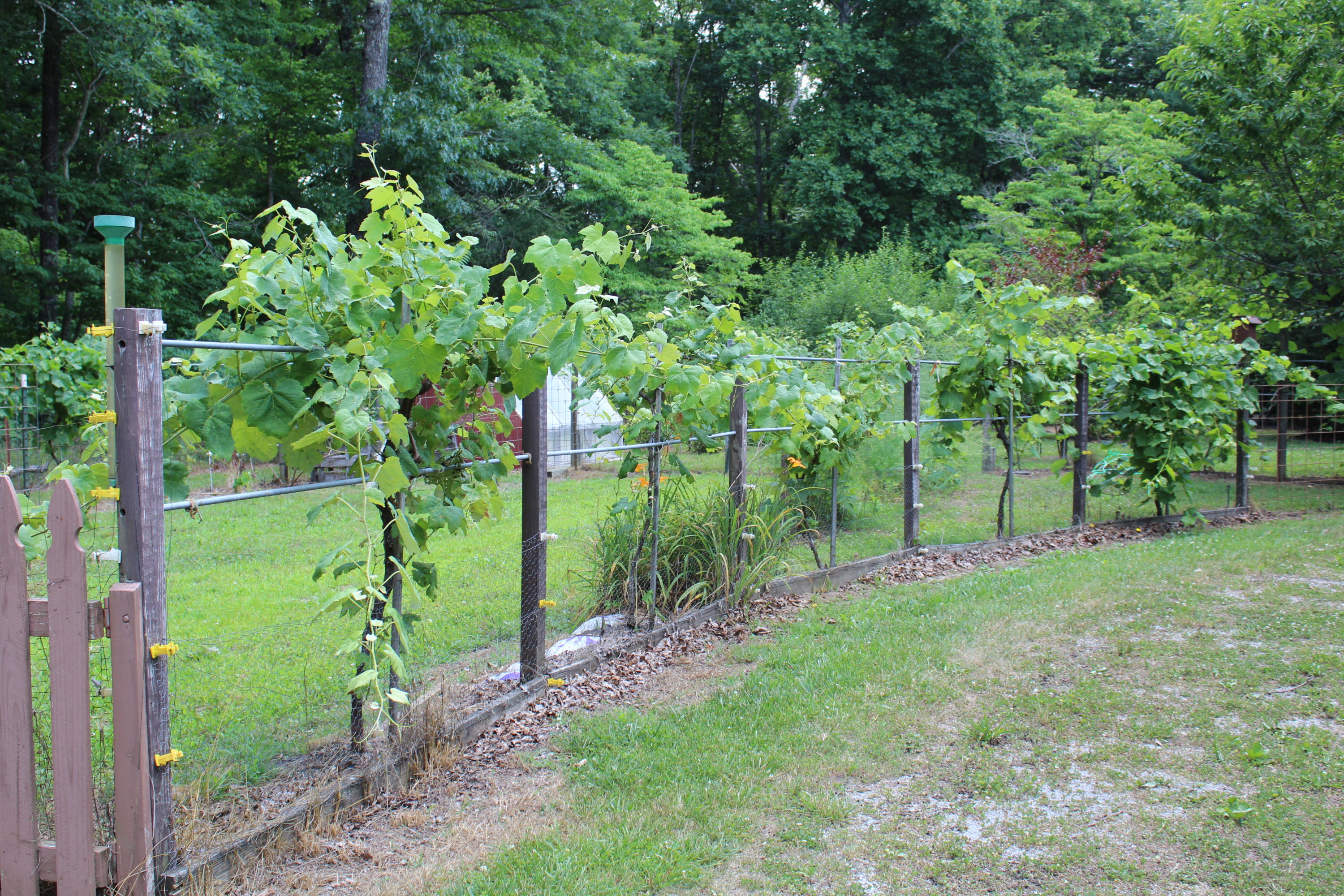 1728 Bell Road Crossville, TN 38571 - Photo 30 of 36 IMG_0146